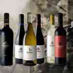 Medalla de Oro y dos de Plata en el Concurso Mundial de Bruselas para tres vinos de la cooperativa El Progreso