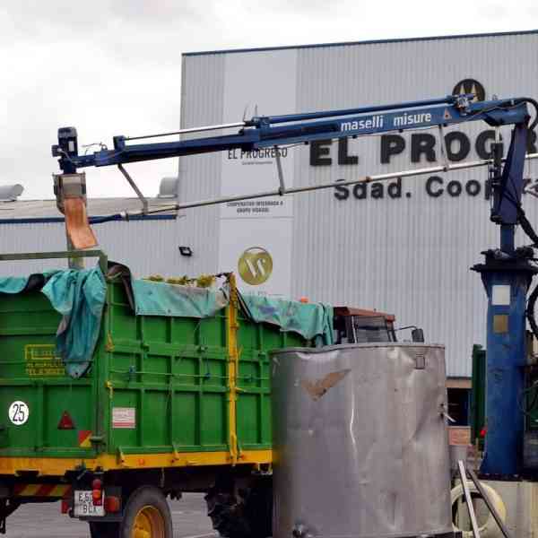 Optimismo en El Progreso por la subida del precio del vino