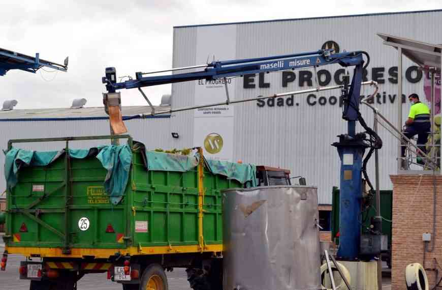 Optimismo en El Progreso por la subida del precio del vino