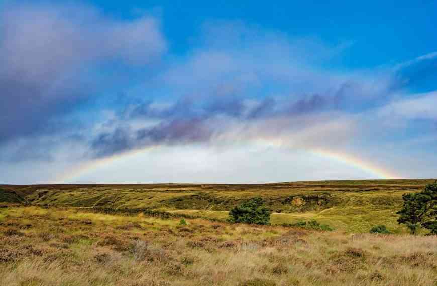 Comunidades de Regantes del Alto Guadiana solicitan una reunión urgente con el Gobierno de España ante la situación precaria de la Confederación Hidrográfica del Guadiana