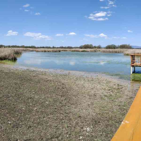 Cabañeros y Tablas de Daimiel reciben 5,3 millones para desarrollar proyectos sostenibles en sus áreas de influencia