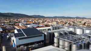 El Progreso podría terminar la vendimia durante la próxima semana de octubre