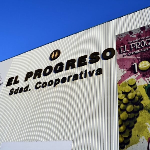 El Progreso de Villarrubia de los Ojos adelanta la vendimia al próximo lunes de madrugada con la recogida de la Chardonnay