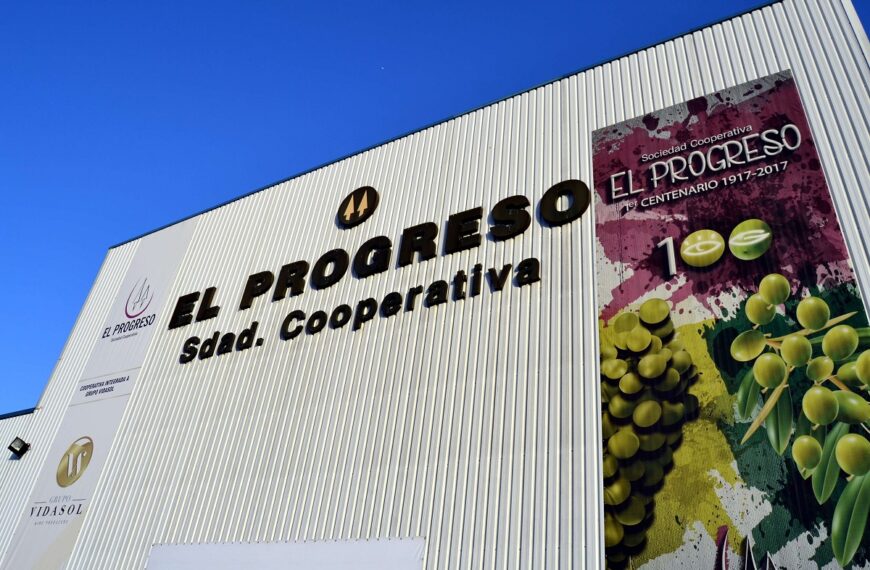 El Progreso de Villarrubia de los Ojos adelanta la vendimia al próximo lunes de madrugada con la recogida de la Chardonnay