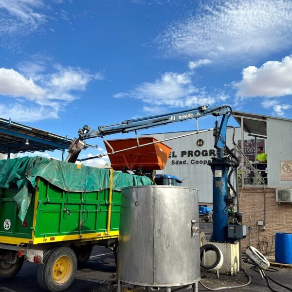 Cooperativa El Progreso adelanta la recogida de la uva Airén