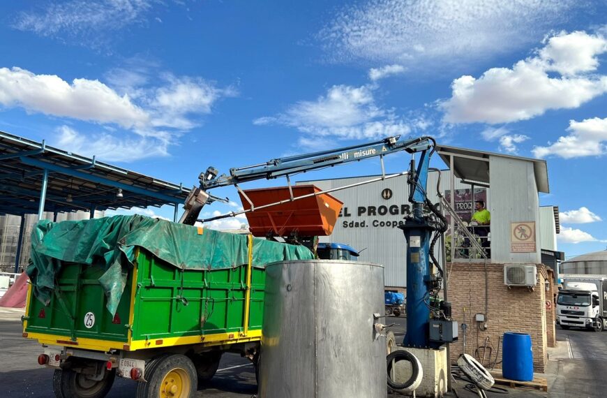Cooperativa El Progreso adelanta la recogida de la uva Airén