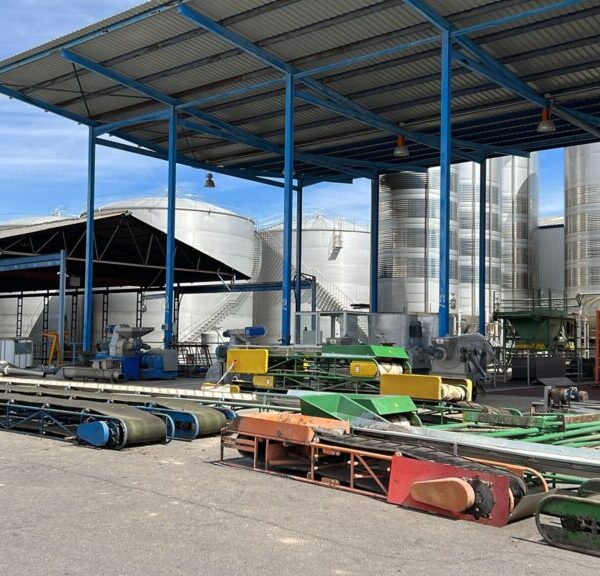 Comienzas las obras en el patio de la Almazara de El Progreso