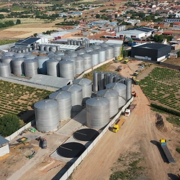 Ojos del Guadiana Sauvignon Blanc consigue la medalla de oro en los premios Manojo