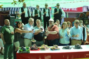 Éxito y armonía en las Fiestas Patronales de Villarrubia de los Ojos: Un balance positivo