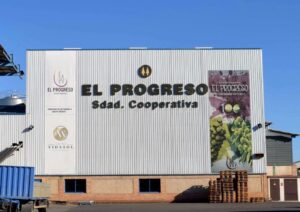 La cooperativa El Progreso terminó la vendimia y recogerá la aceituna en verde a comienzos de noviembre