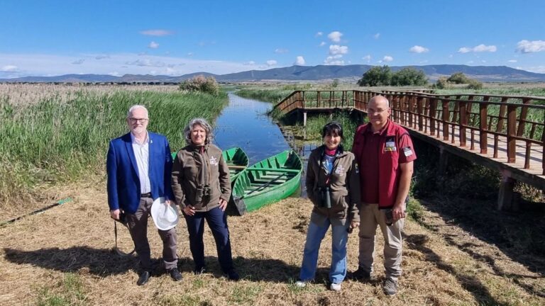 Las Tablas de Daimiel viven una «explosión de biodiversidad» tras las lluvias que inundaron 1.130 hectáreas