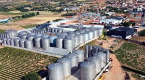 El Progreso de Villarrubia de los Ojos comienza la vendimia esta próxima madrugada del lunes 11 al 12 de agosto