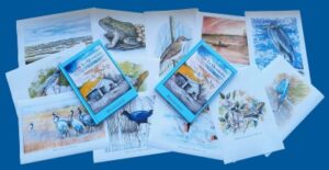 Carlos Villanueva Desvela los Secretos del Parque Nacional de las Tablas de Daimiel en su Nueva Obra «Desde La Quebrada» Presentada por la BAM