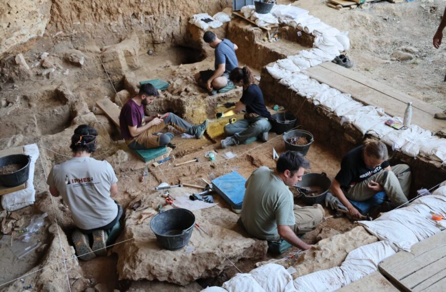 Los caballos más antiguos del linaje ibérico salen a la luz en las excavaciones de La Malia en Tamajón