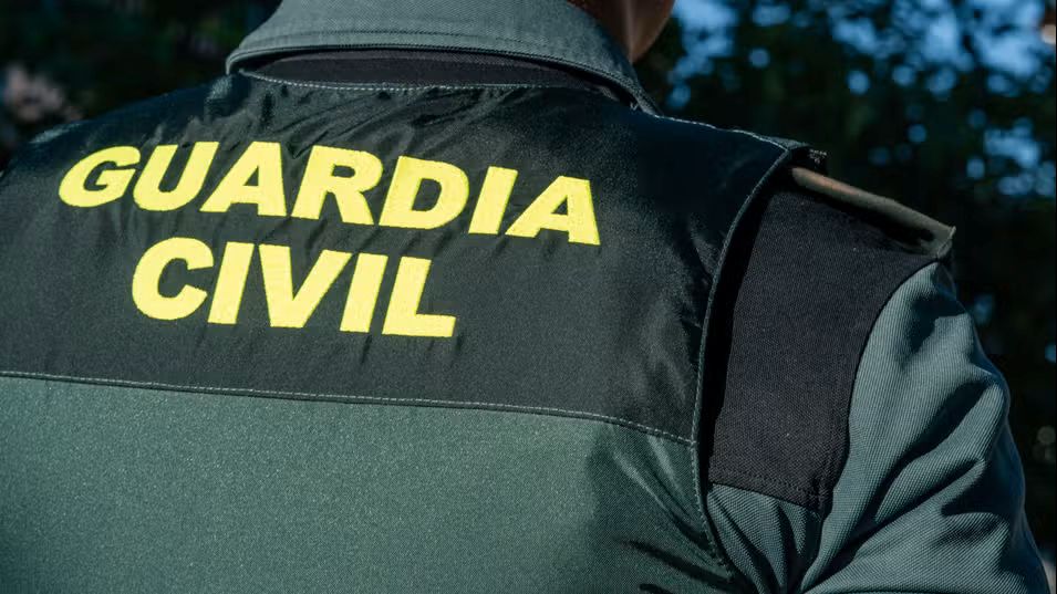 Nueve detenidos por varios robos en Villarrubia de los Ojos